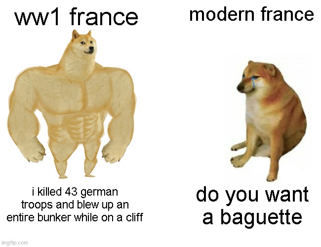 Buff Doge vs. Cheems | ww1 france; modern france; i killed 43 german troops and blew up an entire bunker while on a cliff; do you want a baguette | image tagged in memes,buff doge vs cheems | made w/ Imgflip meme maker