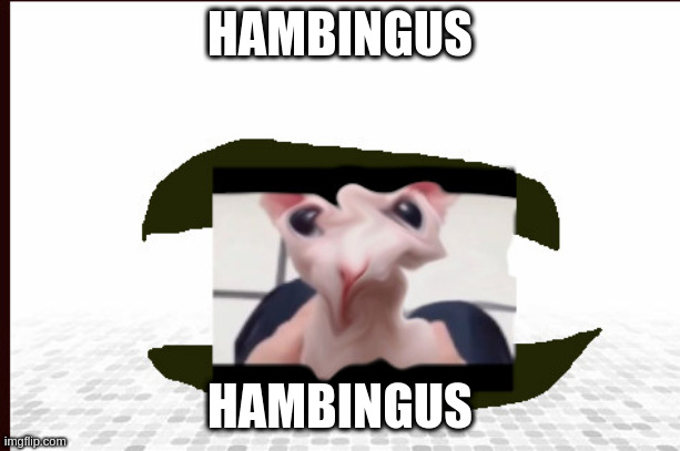HAMBINGUS | HAMBINGUS; HAMBINGUS | image tagged in funny,bingus,cats,food | made w/ Imgflip meme maker