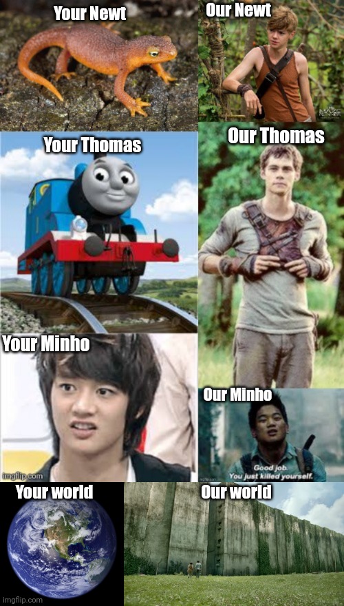 I hope you like it. | Our Newt; Your Newt; Your Thomas; Our Thomas; Your Minho; Our Minho; Your world; Our world | image tagged in the glade,maze runner | made w/ Imgflip meme maker