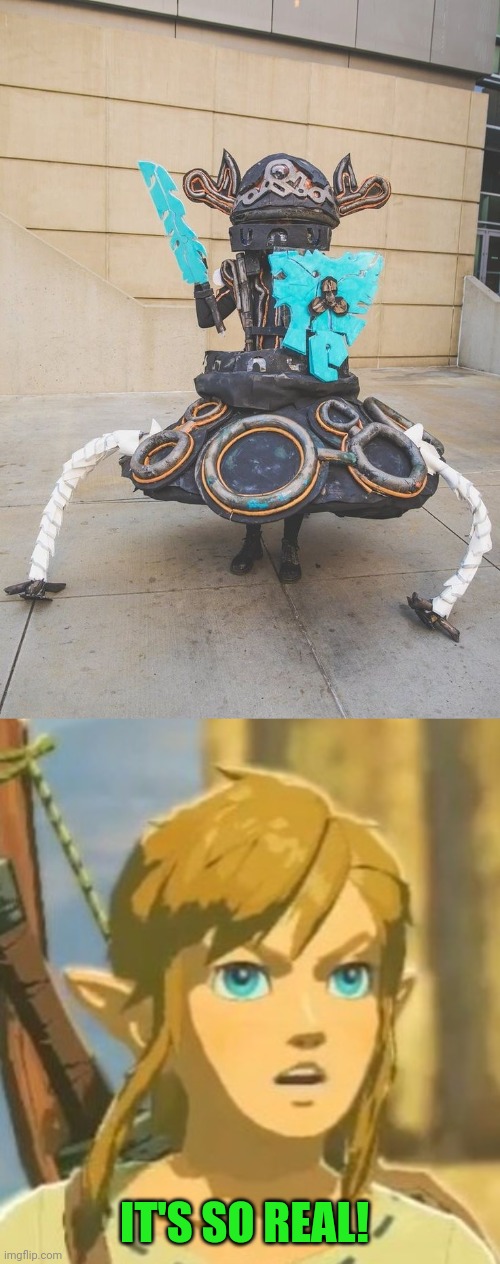 GUARDIAN SCOUT | IT'S SO REAL! | image tagged in offended link,the legend of zelda breath of the wild,the legend of zelda,cosplay | made w/ Imgflip meme maker
