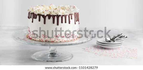 High Quality Cake Blank Meme Template