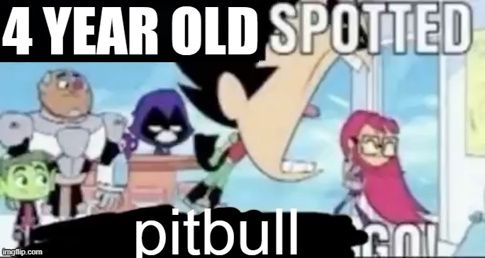 ____ spotted ____ go! | 4 YEAR OLD pitbull | image tagged in ____ spotted ____ go | made w/ Imgflip meme maker