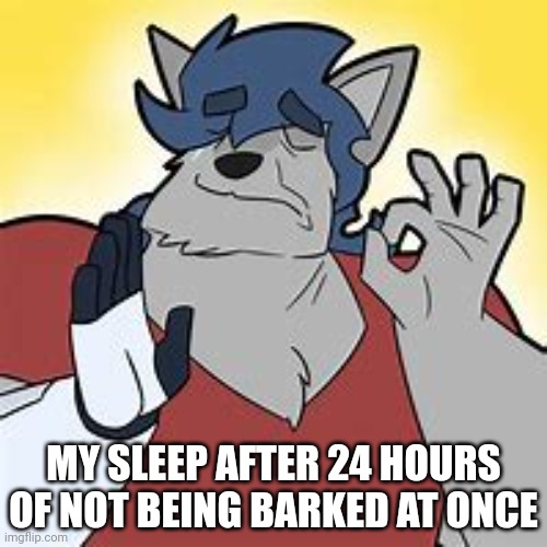 18+ Vegamovies: My Shocking Discovery After 24 Hours Of Streaming - njpm02b
