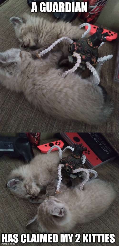 DON'T WAKE MY KITTENS | A GUARDIAN; HAS CLAIMED MY 2 KITTIES | image tagged in the legend of zelda breath of the wild,the legend of zelda,guardian,kittens | made w/ Imgflip meme maker