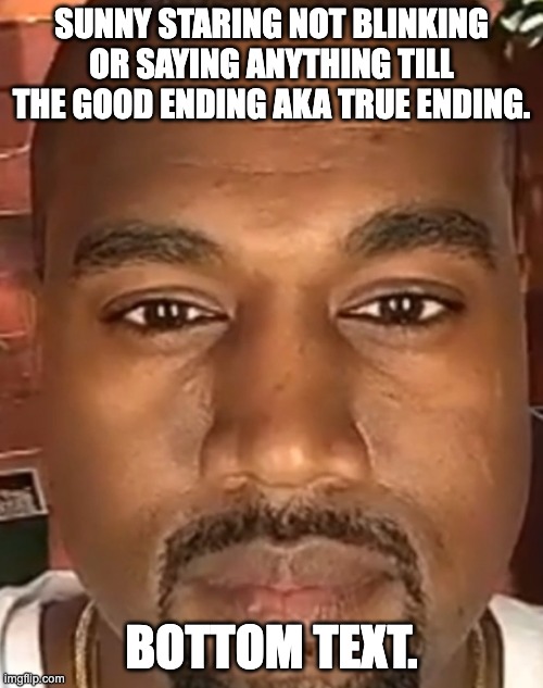 Kanye West Stare | SUNNY STARING NOT BLINKING OR SAYING ANYTHING TILL THE GOOD ENDING AKA TRUE ENDING. BOTTOM TEXT. | image tagged in kanye west stare | made w/ Imgflip meme maker