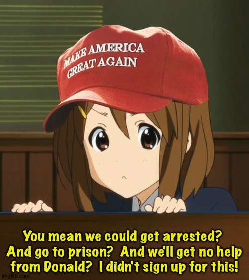 Reluctant insurrectionist | You mean we could get arrested?  And go to prison?  And we'll get no help from Donald?  I didn't sign up for this! | image tagged in anime maga | made w/ Imgflip meme maker