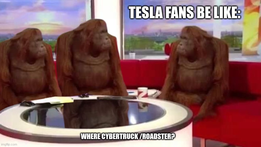 But where are they? | TESLA FANS BE LIKE:; WHERE CYBERTRUCK /ROADSTER? | image tagged in where monkey,tesla,bruh,monke,memes,cars | made w/ Imgflip meme maker