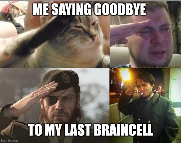 Ozon's Salute | ME SAYING GOODBYE; TO MY LAST BRAINCELL | image tagged in ozon's salute | made w/ Imgflip meme maker
