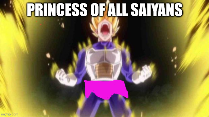 vegeta | PRINCESS OF ALL SAIYANS | image tagged in vegeta | made w/ Imgflip meme maker