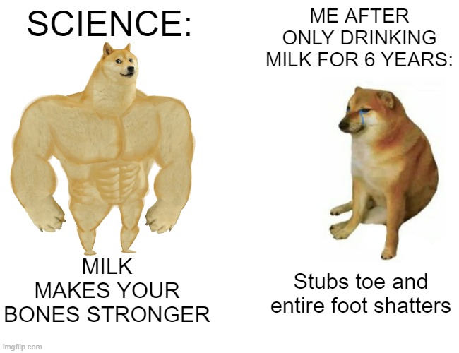 WHY THOUGH | SCIENCE:; ME AFTER ONLY DRINKING MILK FOR 6 YEARS:; MILK MAKES YOUR BONES STRONGER; Stubs toe and entire foot shatters | image tagged in memes,buff doge vs cheems | made w/ Imgflip meme maker