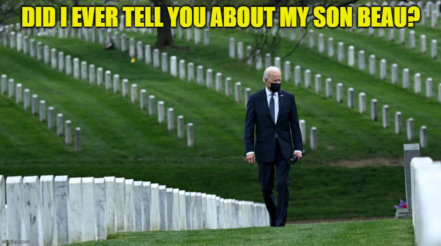 Biden cemetery | DID I EVER TELL YOU ABOUT MY SON BEAU? | image tagged in biden cemetery | made w/ Imgflip meme maker