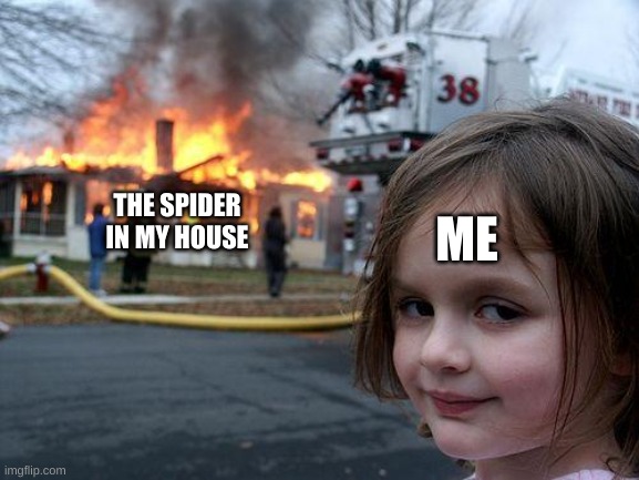 Disaster Girl Meme | THE SPIDER IN MY HOUSE; ME | image tagged in memes,disaster girl | made w/ Imgflip meme maker