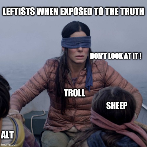 The comments in politics | LEFTISTS WHEN EXPOSED TO THE TRUTH; DON'T LOOK AT IT ! TROLL; SHEEP; ALT | image tagged in memes,bird box | made w/ Imgflip meme maker