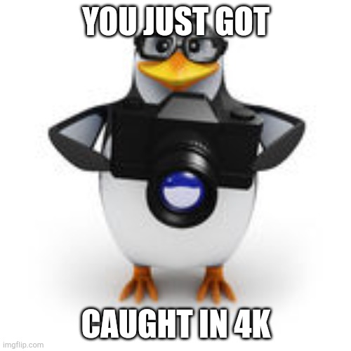 Caught in 4k | YOU JUST GOT CAUGHT IN 4K | image tagged in caught in 4k | made w/ Imgflip meme maker