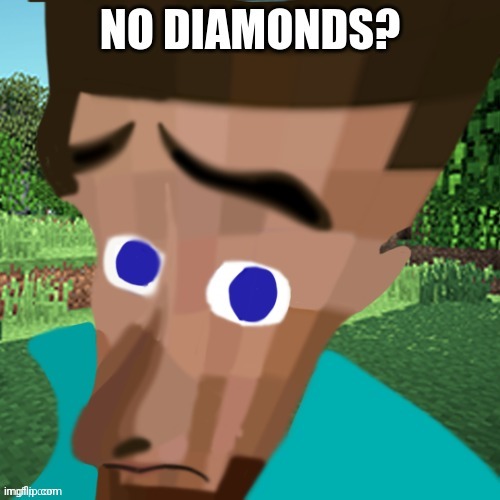No diamands? | image tagged in no diamands | made w/ Imgflip meme maker
