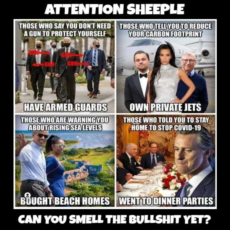 Attention Sheeple: Can You Smell the BULLSHIT Yet? | image tagged in sheeple,bullshit,elite,covidiots,lemmings,government corruption | made w/ Imgflip meme maker