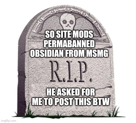 RIP | SO SITE MODS PERMABANNED OBSIDIAN FROM MSMG; HE ASKED FOR ME TO POST THIS BTW | image tagged in rip | made w/ Imgflip meme maker