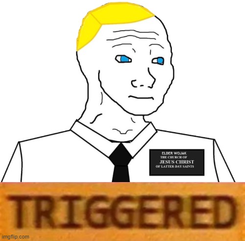 Mormon wojak triggered | image tagged in mormon wojak triggered | made w/ Imgflip meme maker