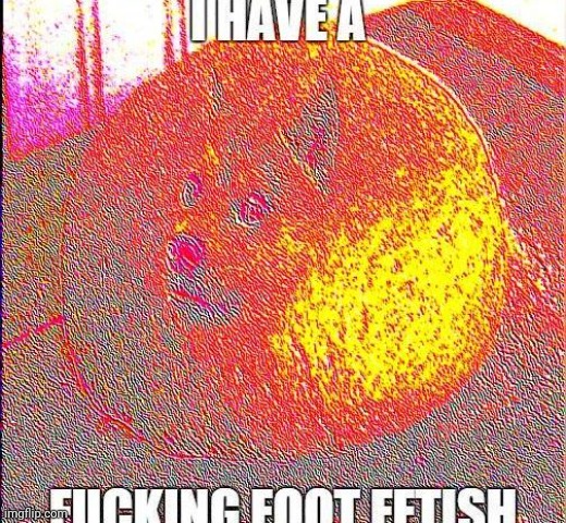 WTF is this image | image tagged in wtf,doge,deep fried | made w/ Imgflip meme maker