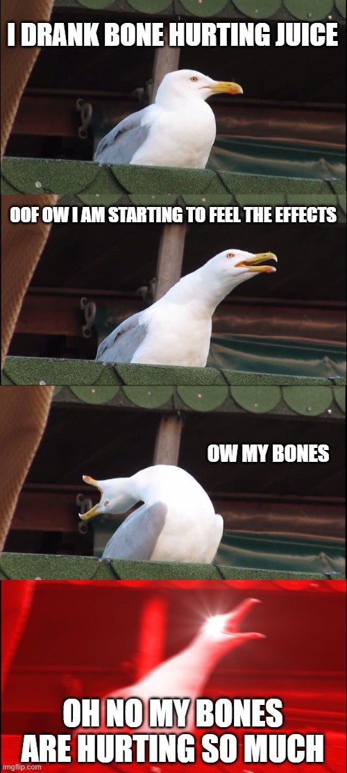Oof ow my bones ahhh | I DRANK BONE HURTING JUICE; OOF OW I AM STARTING TO FEEL THE EFFECTS; OW MY BONES; OH NO MY BONES ARE HURTING SO MUCH | image tagged in memes,inhaling seagull,bonehurtingjuice,never gonna give you up,never gonna let you down,never gonna run around | made w/ Imgflip meme maker