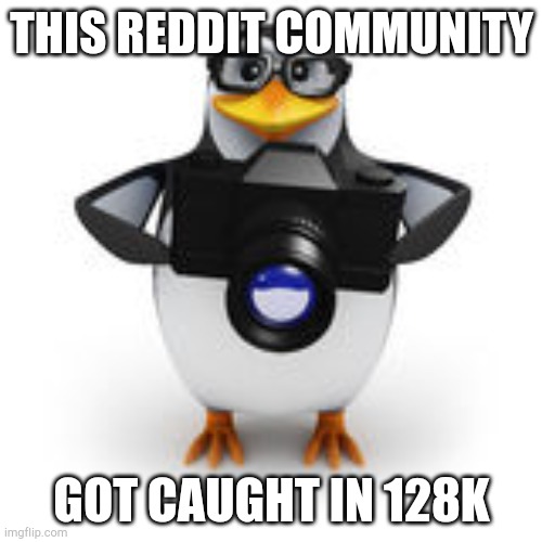 Caught in 4k | THIS REDDIT COMMUNITY GOT CAUGHT IN 128K | image tagged in caught in 4k | made w/ Imgflip meme maker