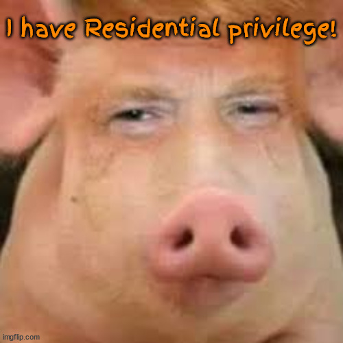 Residential privilege | I have Residential privilege! | image tagged in donald trump,maga,traitor,big lie,loser | made w/ Imgflip meme maker