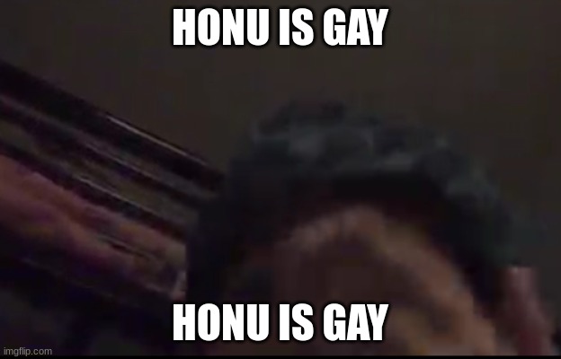 HONU IS GAY; HONU IS GAY | made w/ Imgflip meme maker