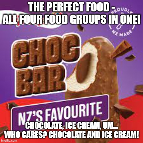 Choc Bar - the perfect food | THE PERFECT FOOD - ALL FOUR FOOD GROUPS IN ONE! CHOCOLATE, ICE CREAM, UM... WHO CARES? CHOCOLATE AND ICE CREAM! | image tagged in food,chocolate,ice cream | made w/ Imgflip meme maker