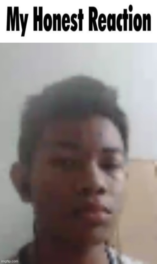 Image Tagged In My Honest Reaction Imgflip