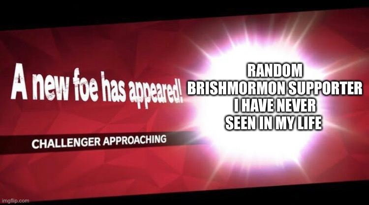 I new challenger approahes | RANDOM BRISHMORMON SUPPORTER I HAVE NEVER SEEN IN MY LIFE | image tagged in i new challenger approahes | made w/ Imgflip meme maker