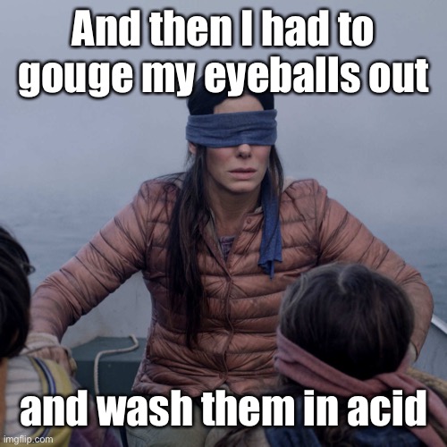 Bird Box Meme | And then I had to gouge my eyeballs out and wash them in acid | image tagged in memes,bird box | made w/ Imgflip meme maker