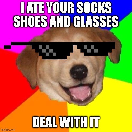 Bad Advice Dog | I ATE YOUR SOCKS SHOES AND GLASSES; DEAL WITH IT | image tagged in bad advice dog | made w/ Imgflip meme maker