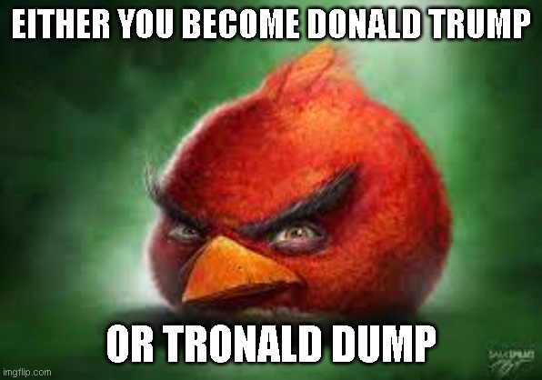Realistic Red Angry Birds | EITHER YOU BECOME DONALD TRUMP OR TRONALD DUMP | image tagged in realistic red angry birds | made w/ Imgflip meme maker