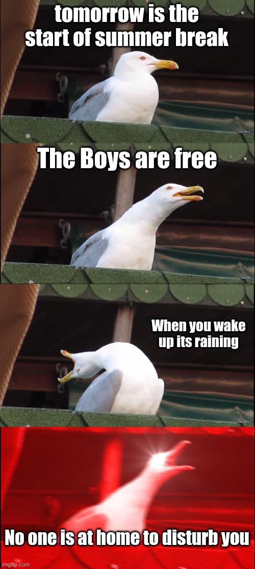 Inhaling Seagull Meme |  tomorrow is the start of summer break; The Boys are free; When you wake up its raining; No one is at home to disturb you | image tagged in memes,inhaling seagull | made w/ Imgflip meme maker
