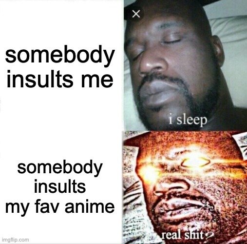 Sleeping Shaq | somebody insults me; somebody insults my fav anime | image tagged in memes,sleeping shaq | made w/ Imgflip meme maker