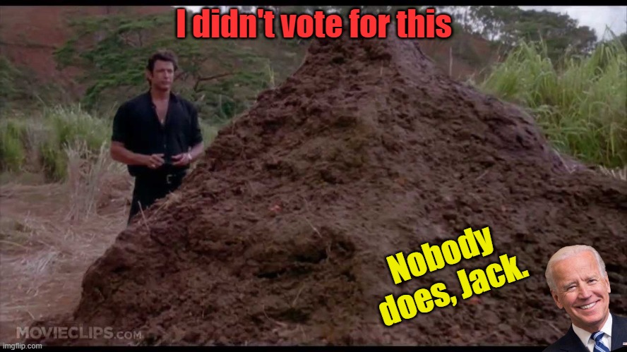 And that's what we get every election.... | I didn't vote for this; Nobody does, Jack. | image tagged in that is one big pile of shit | made w/ Imgflip meme maker