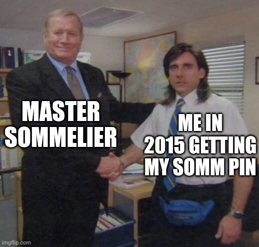 the office congratulations | MASTER SOMMELIER; ME IN 2015 GETTING MY SOMM PIN | image tagged in the office congratulations | made w/ Imgflip meme maker