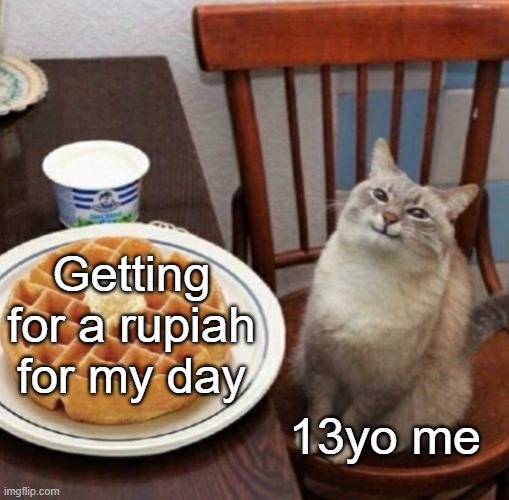 Whoa! That's interesting, but I sure don't care! | Getting for a rupiah for my day; 13yo me | image tagged in cat likes their waffle,memes | made w/ Imgflip meme maker