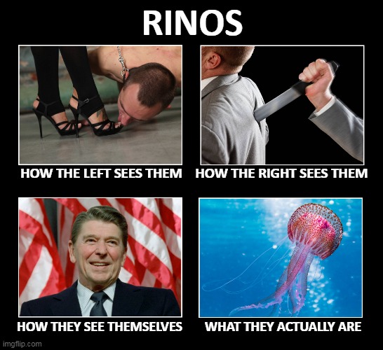 Perception vs Fact | RINOS; HOW THE LEFT SEES THEM; HOW THE RIGHT SEES THEM; HOW THEY SEE THEMSELVES; WHAT THEY ACTUALLY ARE | image tagged in rino | made w/ Imgflip meme maker