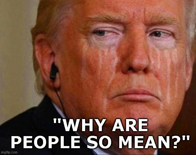 Trump is the ultimate SNOWFLAKE | "WHY ARE PEOPLE SO MEAN?" | image tagged in trump is the ultimate snowflake,AdviceAnimals | made w/ Imgflip meme maker