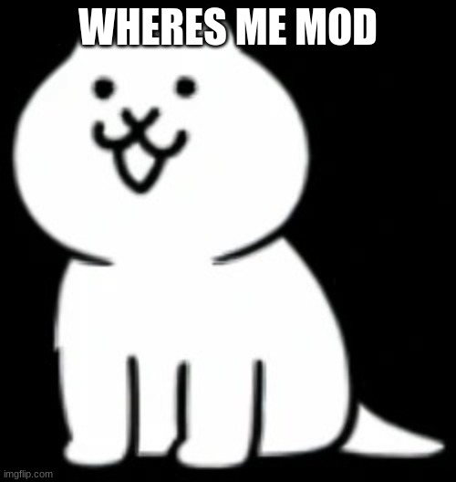 been waiting(sorrysorry i havent had time) | WHERES ME MOD | image tagged in modern cat my beloved,memes,cot,funny,mod | made w/ Imgflip meme maker