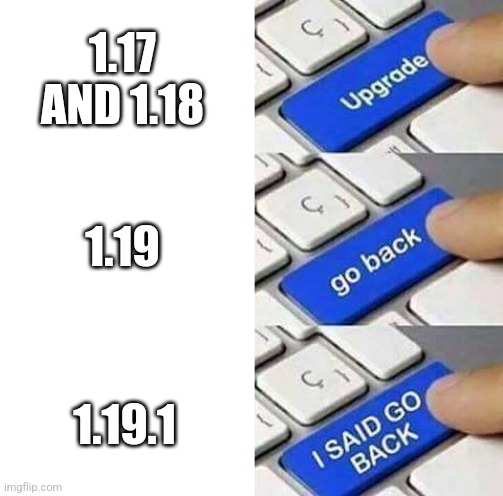 Forgot of a title | 1.17 AND 1.18; 1.19; 1.19.1 | image tagged in i said go back,memes,so true,minecraft,update | made w/ Imgflip meme maker