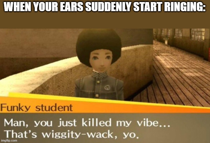 bruh its too annoying | WHEN YOUR EARS SUDDENLY START RINGING: | image tagged in funky student,memes,funny,relatable,ears,relatable memes | made w/ Imgflip meme maker