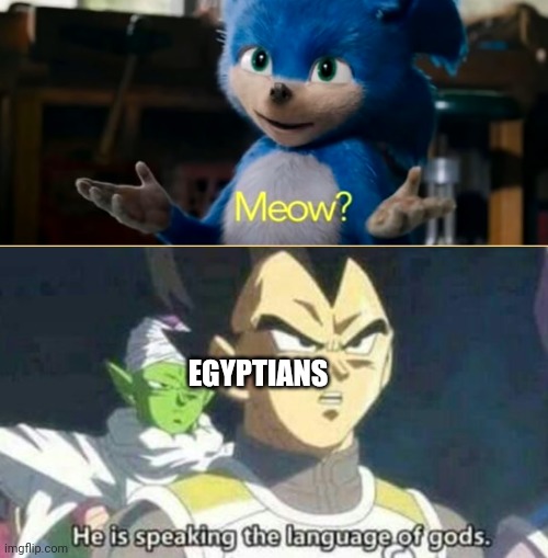 All neal the mighty cat | EGYPTIANS | image tagged in he is speaking the language of gods | made w/ Imgflip meme maker
