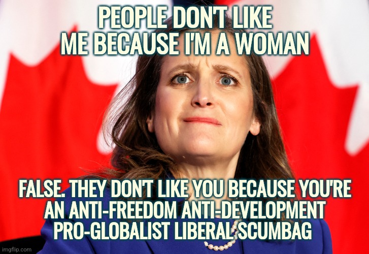 People Hate Freeland | PEOPLE DON'T LIKE ME BECAUSE I'M A WOMAN; FALSE. THEY DON'T LIKE YOU BECAUSE YOU'RE
AN ANTI-FREEDOM ANTI-DEVELOPMENT
PRO-GLOBALIST LIBERAL SCUMBAG | image tagged in memes,liberals,politics,funny,globalism | made w/ Imgflip meme maker