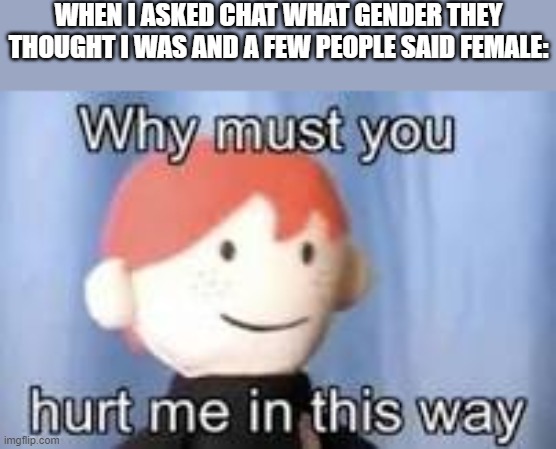 Why must you hurt me in this way | WHEN I ASKED CHAT WHAT GENDER THEY THOUGHT I WAS AND A FEW PEOPLE SAID FEMALE: | image tagged in why must you hurt me in this way | made w/ Imgflip meme maker
