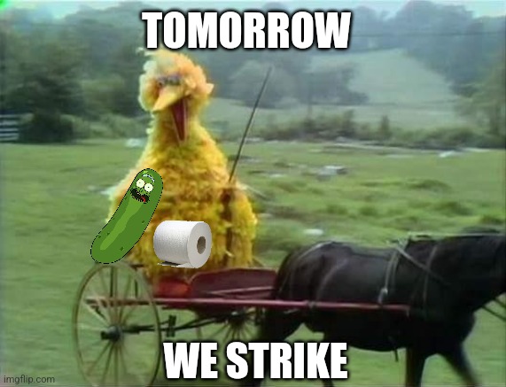 Soon | TOMORROW; WE STRIKE | image tagged in we ride at dawn bitches,pickle rick,rolling | made w/ Imgflip meme maker