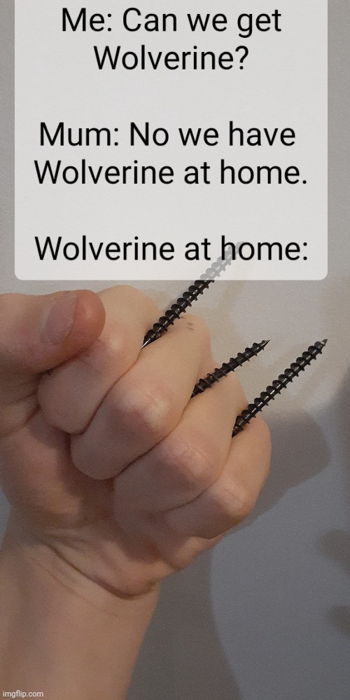 Wolverine at home | image tagged in memes | made w/ Imgflip meme maker