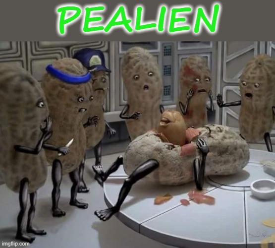 Space Snax | PEALIEN | image tagged in in a nutshell | made w/ Imgflip meme maker
