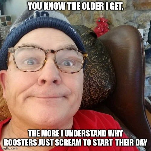 Durl Earl | YOU KNOW THE OLDER I GET, THE MORE I UNDERSTAND WHY ROOSTERS JUST SCREAM TO START  THEIR DAY | image tagged in durl earl | made w/ Imgflip meme maker